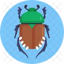 Japanese Beetle Beetle Insects Icon