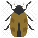 Japanese Beetle  Icon