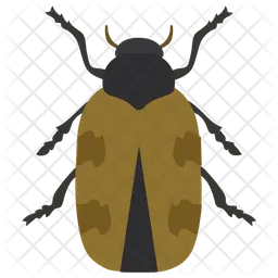 Japanese Beetle  Icon