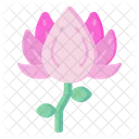 Japanese Camellia  Icon