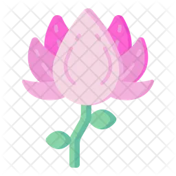 Japanese Camellia  Icon