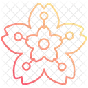 Japanese Cherry Blossom Icon
