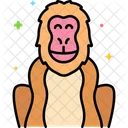 Japanese Macaque Icon