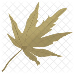 Japanese Maple Icon