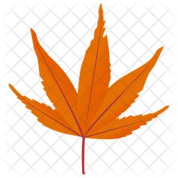 Japanese Maple Icon