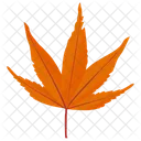 Japanese Maple Maple Leaf Autumn Leaf Icon
