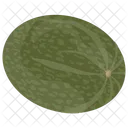 Pumpkin Vegetable Fresh Icon