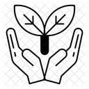  Icône