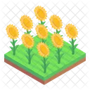 Campo De Girasoles Jardin De Girasoles Jardin Floral Icono