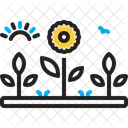 Jardin Planta Flor Icono