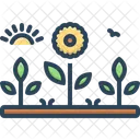 Jardin Planta Flor Icono