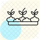 Potager Darriere Cour Arriere Cour Legume Icône