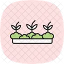 Potager Darriere Cour Icône