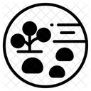  Icône