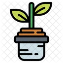 Jardinagem Planta Solo Icon