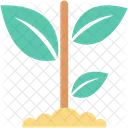 Jardineria Planta Creciente Icono