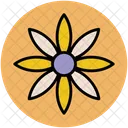 Jasmine Flower Nature Icon