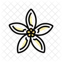 Jasmine Flower Spring Icon