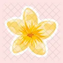 Jasmine Flower  Icône