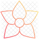 Jasmine Flower Nature Icon