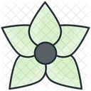 Jasmine Flower Nature Icon