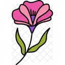 Jasud Flower Flower Blossom Icon
