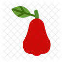 Java Apple Tree Plant Icon