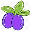 Java Pflaume Gesunde Frucht Reif Icon