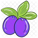 Java Plum Healthy Fruit Ripe Icon