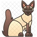 Javanische Katze  Symbol