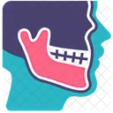 Jaw  Icon