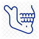 Jaw Bone Xray Icon