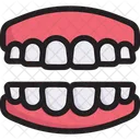 Jaw With Teeth  Icon
