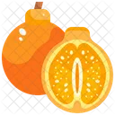 Jeju Orange  Icon