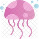 Jelly Fish  Icon