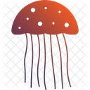Jelly Fish Sea Creature Transparent Animal Icon