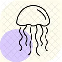 Jellyfish Box Ocean Icon