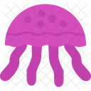 Jellyfish  Icon