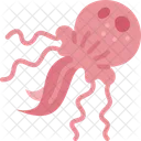 Jellyfish Medusa Fauna Icon