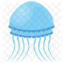 Jellyfish Jellies Sea Jellies Icon