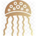 Jellyfish Beach Medusa Icon