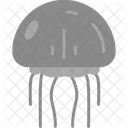 Jellyfish Animal Ecology Icon