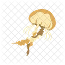 Jellyfish Aquatic Animal Sea Animal Icon