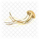 Jellyfish Aquatic Animal Sea Animal Icon