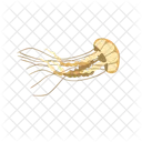 Jellyfish Aquatic Animal Sea Animal Icon