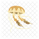 Jellyfish Aquatic Animal Sea Animal Icon