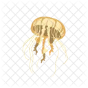 Jellyfish Aquatic Animal Sea Animal Icon