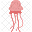 Jellyfish Aquatic Animal Icon