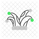 Jester  Icon