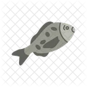 Jew Fish  Icon